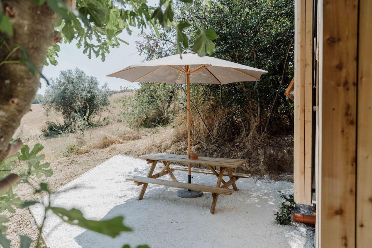 Agriturismo Qui Voglio 몬테로베르토 외부 사진