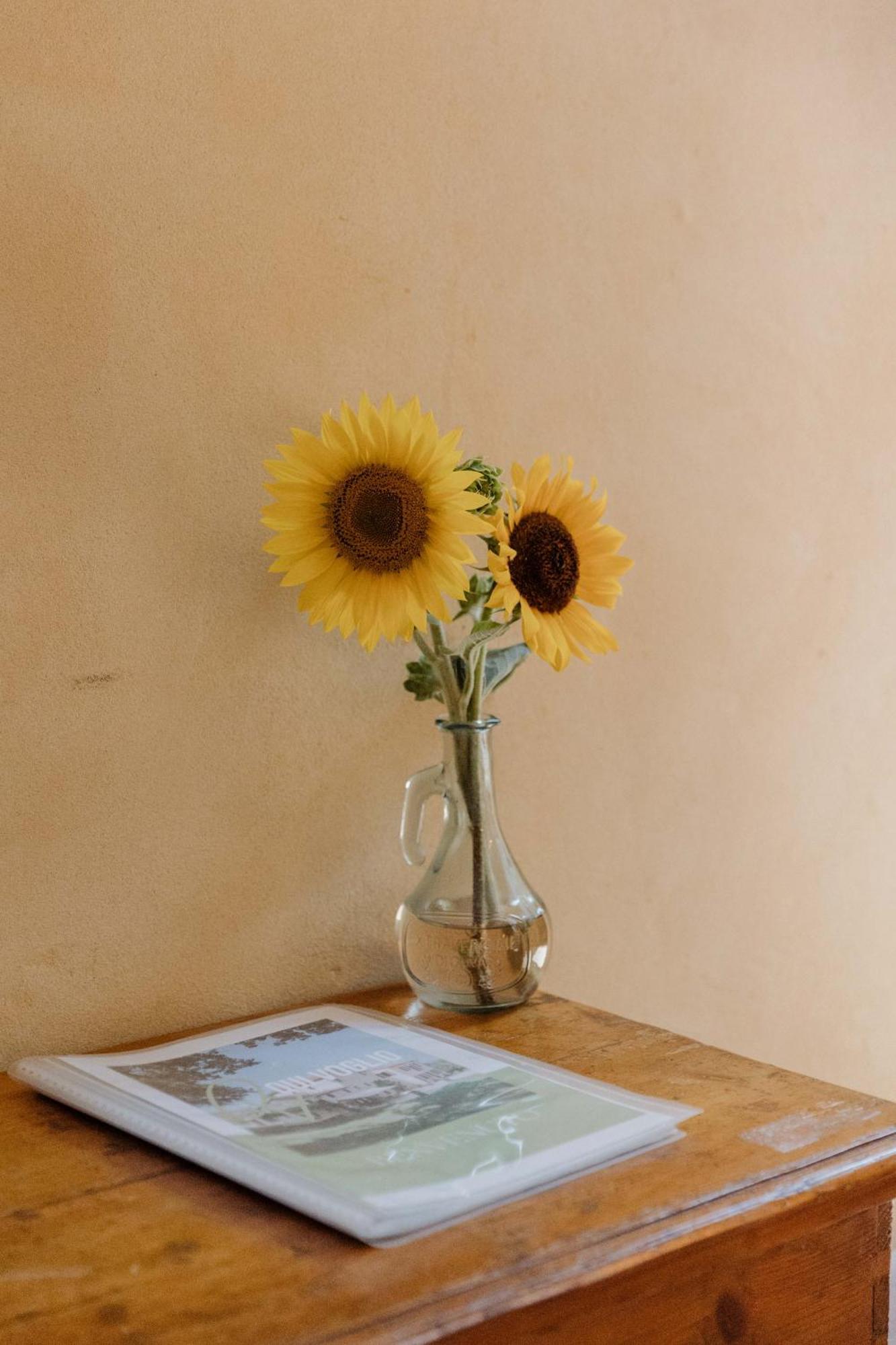 Agriturismo Qui Voglio 몬테로베르토 외부 사진